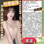 高雄定點茶-愷蒂