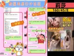 台中定點茶-莉莎