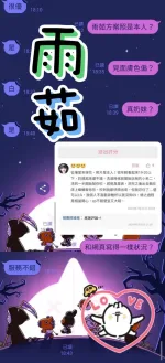 南投定點茶-雨茹