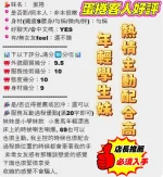 新竹定點茶-蛋捲