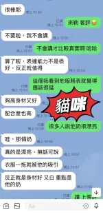 台東定點茶-貓咪
