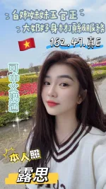 台東定點茶-露思