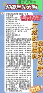 新竹定點茶-七寶
