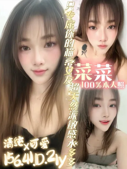 台南定點茶-菜菜