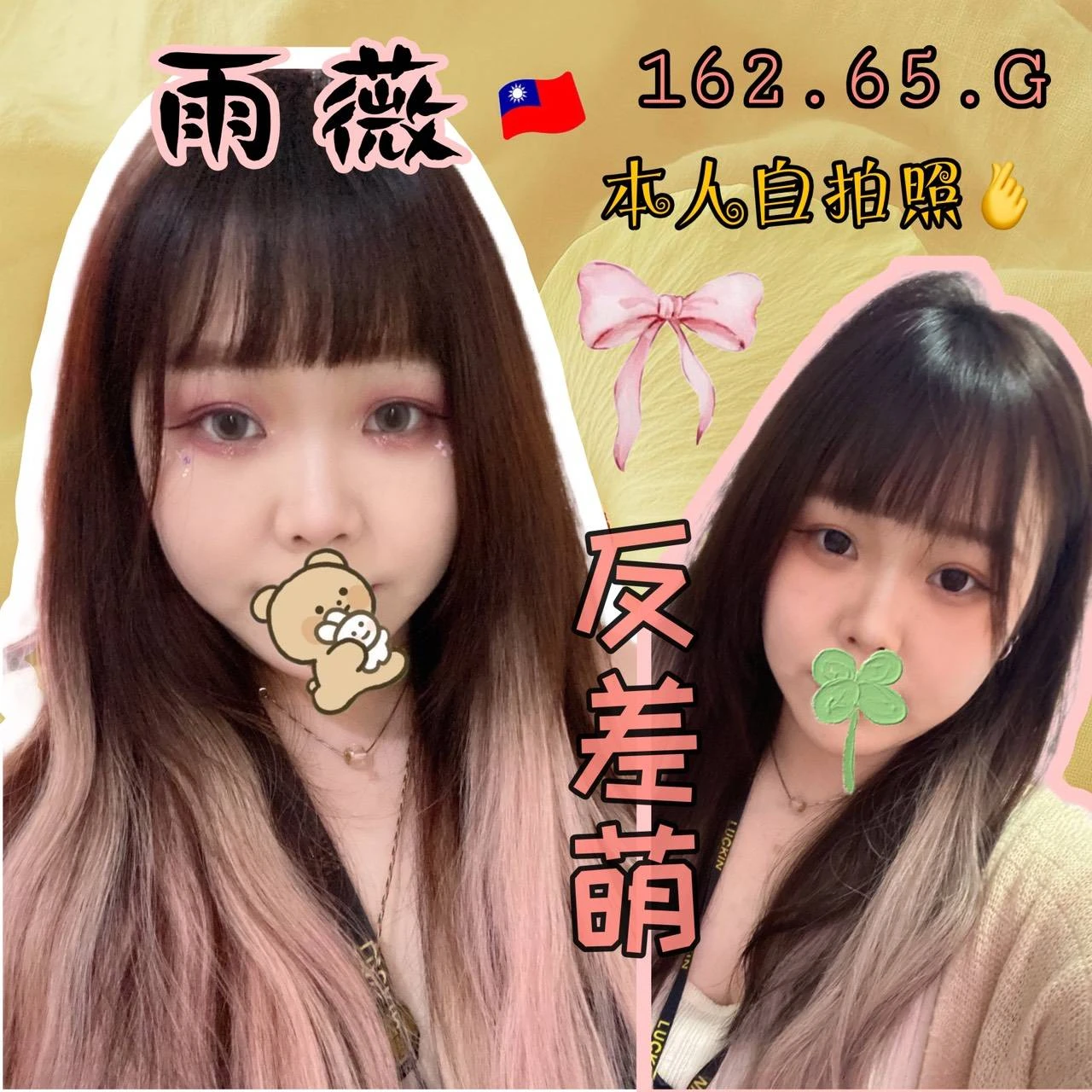 台北定點茶-雨薇 台北定點茶-雨薇
