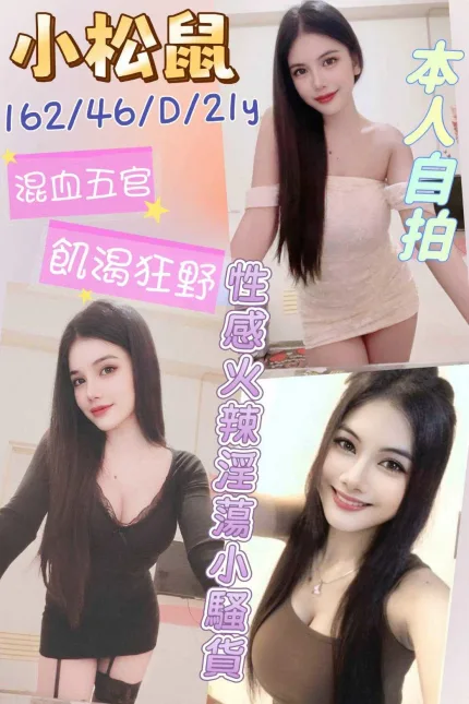 雲林定點茶-小松鼠