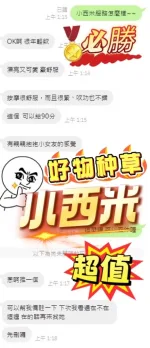 南投定點茶-小西米