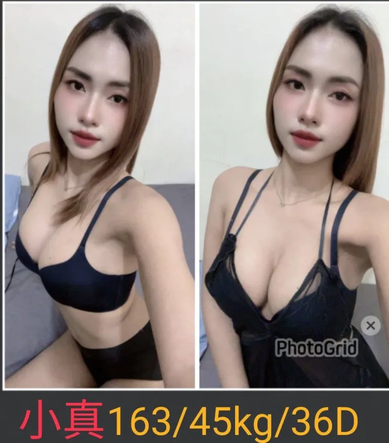 南投定點茶-小真