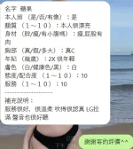 新竹定點茶-糖果