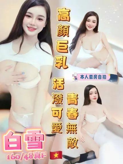 台中定點茶-白雪