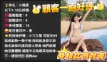 台中定點茶-小搗蛋